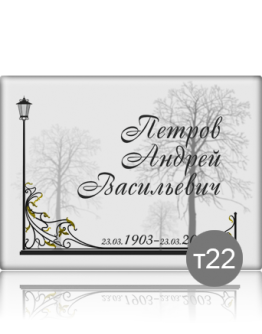 Ритуальная табличка Т22